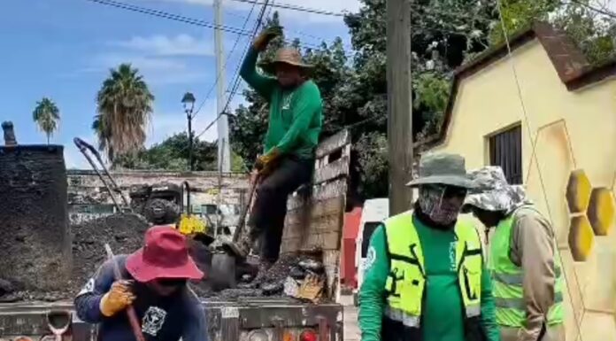 Tache al Bache mejora las condiciones de circulación en Oaxaca de Juárez