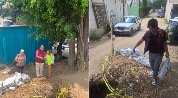 Atiende Gobierno de Oaxaca de Juárez reporte ciudadano por socavón en la colonia Estado de Oaxaca