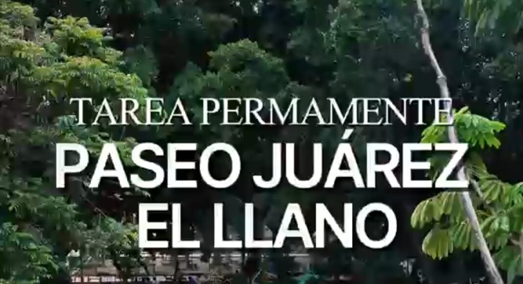 Mejoran las condiciones de los espejos de agua en El Llano