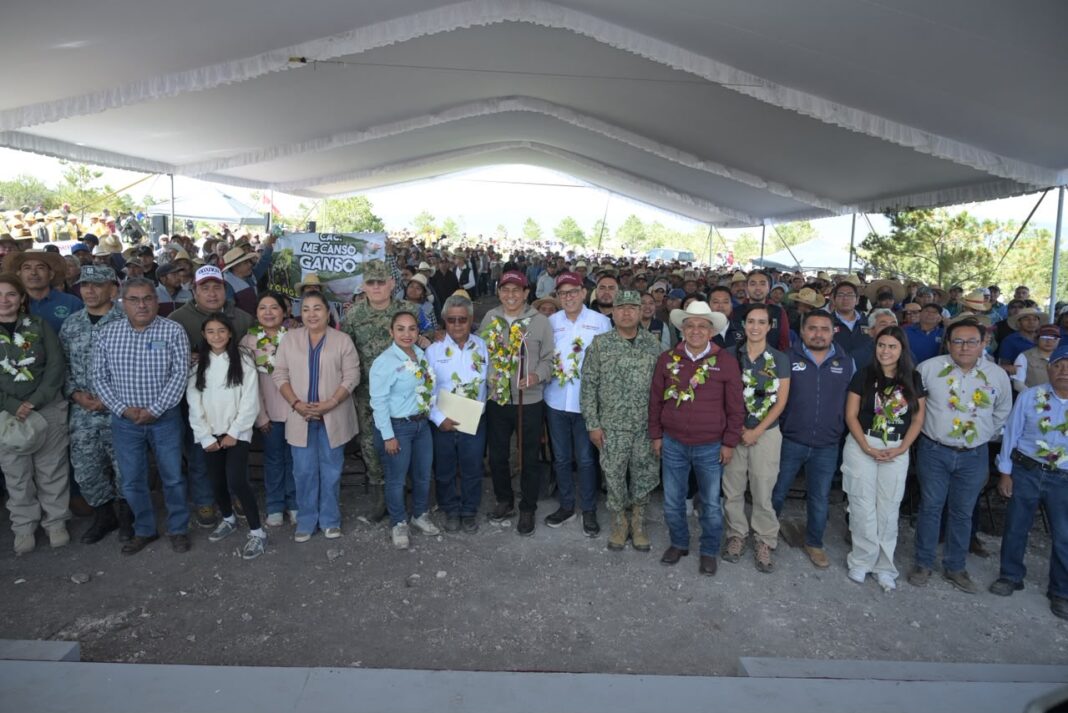 Siembra Oaxaca 12 mil plantas en Teotongo como parte de la Jornada Nacional de Reforestación 202611