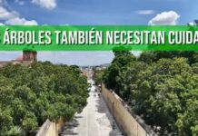 Invertir hoy para tener un Paseo Juárez El Llano más saludable y seguro