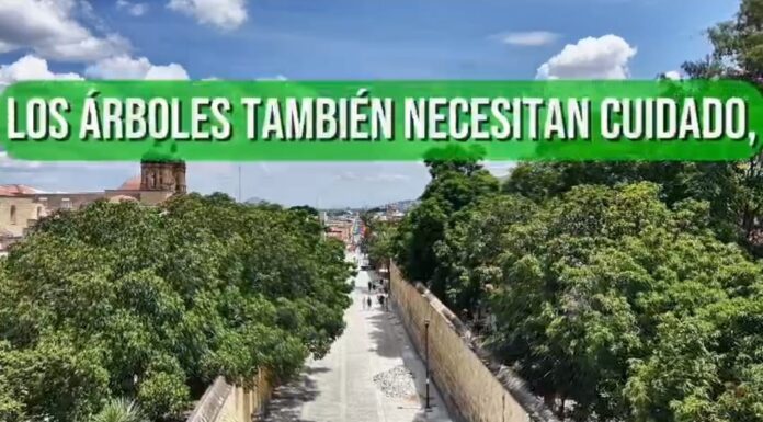 Invertir hoy para tener un Paseo Juárez El Llano más saludable y seguro
