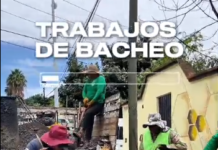 Tache al Bache mejora las condiciones de circulación en Oaxaca de Juárez
