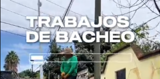 Tache al Bache mejora las condiciones de circulación en Oaxaca de Juárez