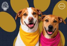 🐾 ¡PERRUCHÓN UABJO tiene nuevas fechas! 🐶🐱