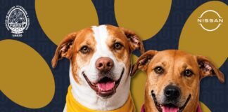 🐾 ¡PERRUCHÓN UABJO tiene nuevas fechas! 🐶🐱