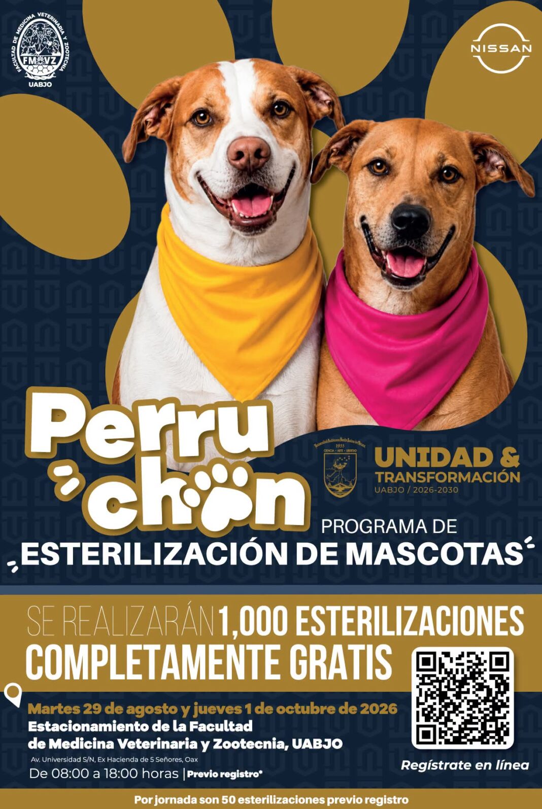 FB_IMG_1790619667054