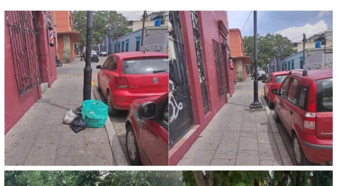 Refuerza Gobierno de Oaxaca de Juárez limpieza y mantenimiento de espacios públicos en la capital