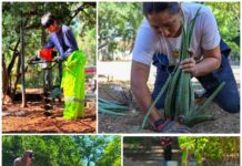 Oaxaca de Juárez fortalece acciones para el cuidado del medio ambiente