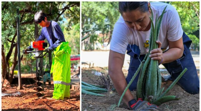 Oaxaca de Juárez fortalece acciones para el cuidado del medio ambiente