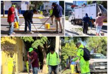 Tequio Vecinal fortalece el cuidado y recuperación de espacios en Oaxaca de Juárez
