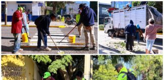 Tequio Vecinal fortalece el cuidado y recuperación de espacios en Oaxaca de Juárez