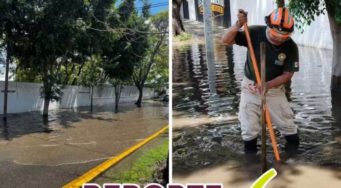 Reporte atendido
