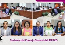 Sesiona Consejo General para conocer informes y aprobar medidas de colaboración con el INE para el Proceso Electoral 2026-2027