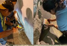 La historia del Centro Histórico, ahora está más cerca