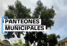 Programa de Recuperación de Fosas fortalece el orden en panteones municipales