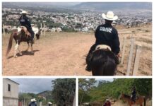 A caballo y con paso firme, Agrupamiento de Caballería refuerza la seguridad en Oaxaca de Juárez