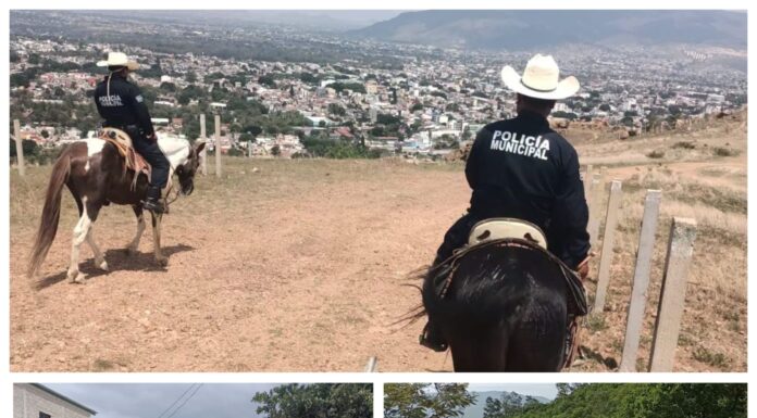 A caballo y con paso firme, Agrupamiento de Caballería refuerza la seguridad en Oaxaca de Juárez