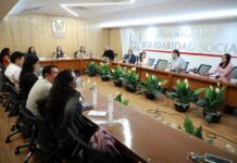 Más de 57 mil personas trabajadoras del hogar cuentan con afiliación al IMSS; 11 mil cotizan por primera vez