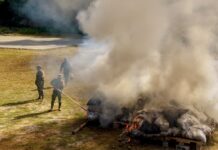 Atestigua Salomón Jara incineración de narcóticos y destrucción de objetos del delito