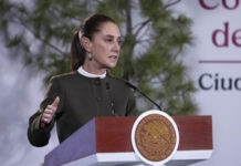Sembrando Vida brinda bienestar y conservación: presidenta; la meta es 450 mil sembradores y plantar mil 500 millones de árboles