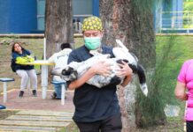 UABJO CONCLUYE EL PROGRAMA PERRUCHÓN 2026 CON MIL ESTERILIZACIONES GRATUITAS