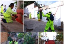 Tequios Vecinales fortalecen el trabajo en equipo en Oaxaca de Juárez