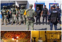 Refuerzan seguridad en Oaxaca de Juárez con más de 500 elementos durante las festividades de Fieles Difuntos