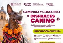 ¡Este Día de Muertos, los lomitos también se ponen festivos!