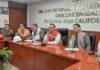 IMSS destaca importancia de recibir atención médica oportuna ante mordedura de animales