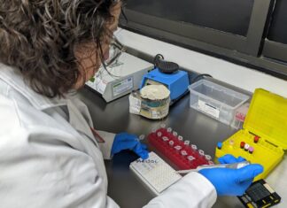 IMSS fortalece seguridad del trasplante renal con pruebas de compatibilidad entre donador y receptor