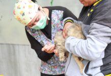PERRUCHÓN 2026 ALCANZA SU DECIMOCTAVA JORNADA DE ESTERILIZACIONES GRATUITAS